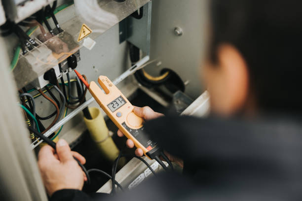 Best Electrical Panel Upgrades  in White Pine, TN